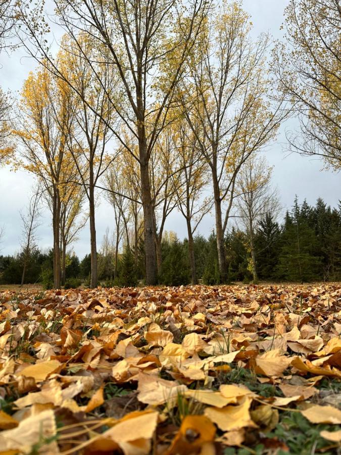 Finca Paraiso Rural El Burgo De Osma Εξωτερικό φωτογραφία
