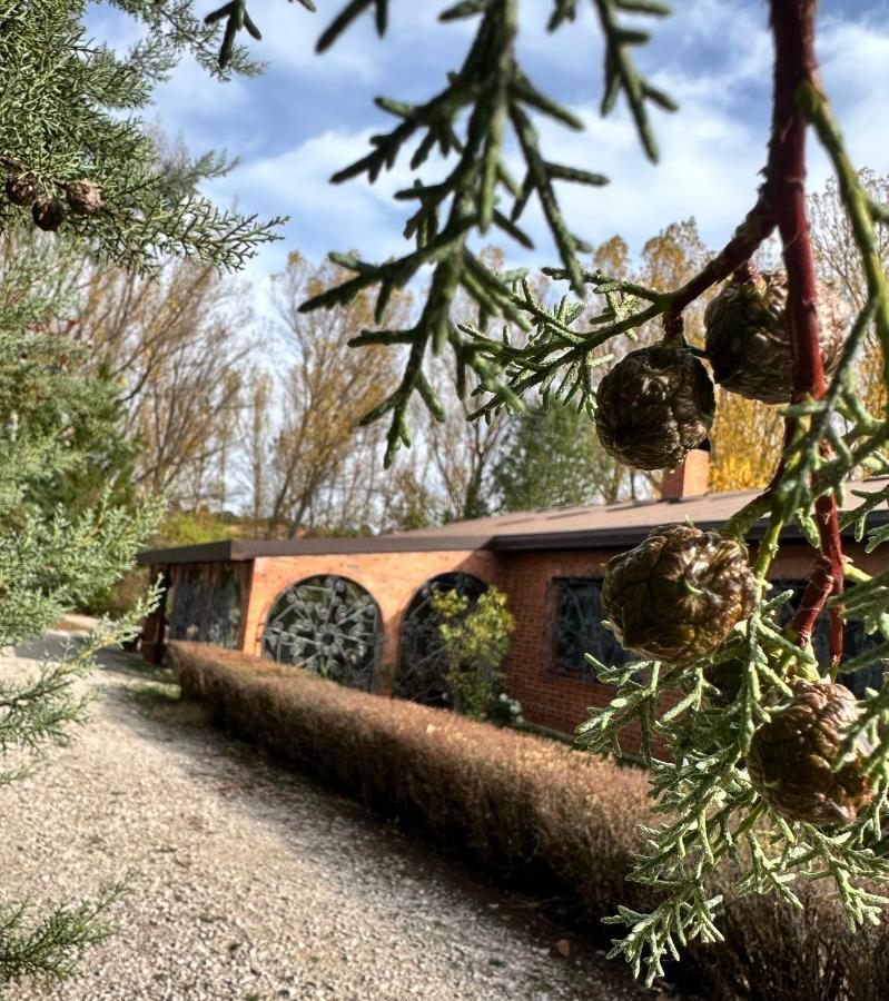 Finca Paraiso Rural El Burgo De Osma Εξωτερικό φωτογραφία