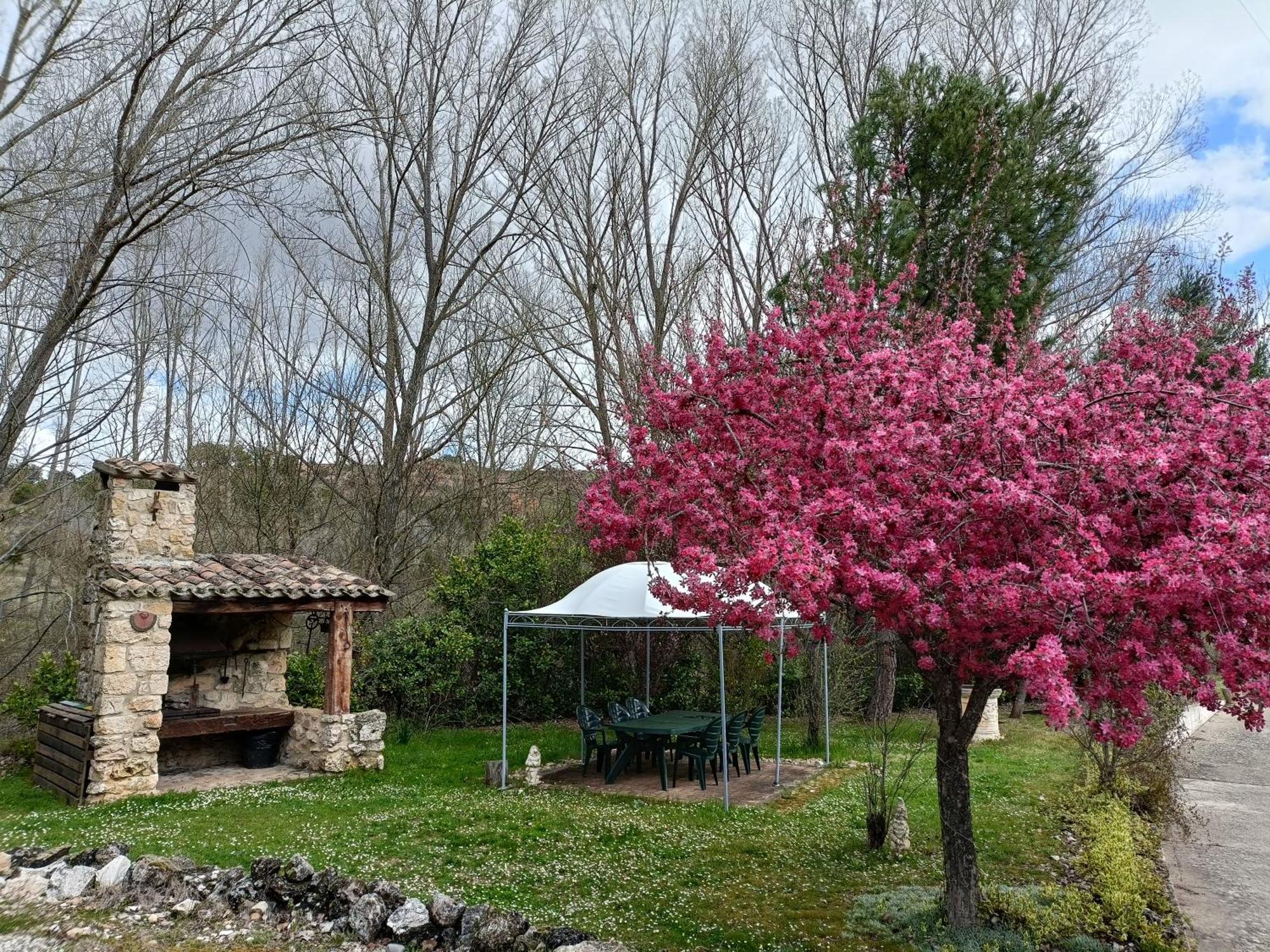 Finca Paraiso Rural El Burgo De Osma Εξωτερικό φωτογραφία